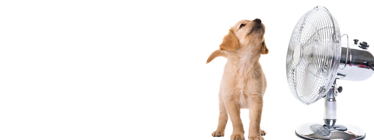 Southern Maryland Heating, Air and Oil Company | SMO Energy