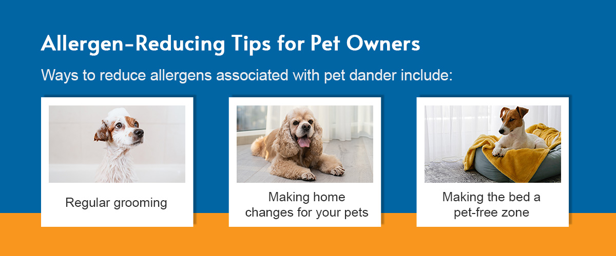 Allergen-Reducing Tips for Pet Owners