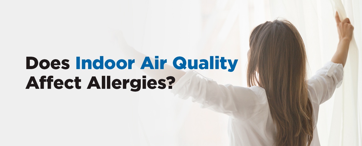 does indoor air quality affect allergies